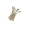 Barley