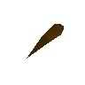 Proboscis