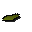 Willow seed