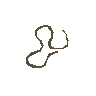 Sinew