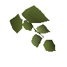 Hammerstone hops