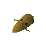 Broodoo shield (10)