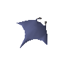 Raw manta ray
