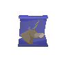Healing aura scroll
