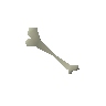 Bone club