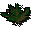 Grimy dwarf weed