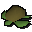 Raw sea turtle